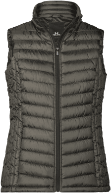 Women's Zepelin Bodywarmer Shadow